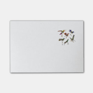 Sex färgrika Hummingbirds Post-it Block