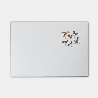 Sex färgrika Hummingbirds Post-it Block
