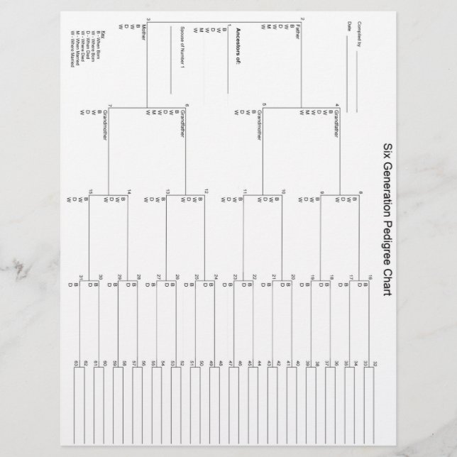 Sex Generation Pedigree Papper (Framsida)