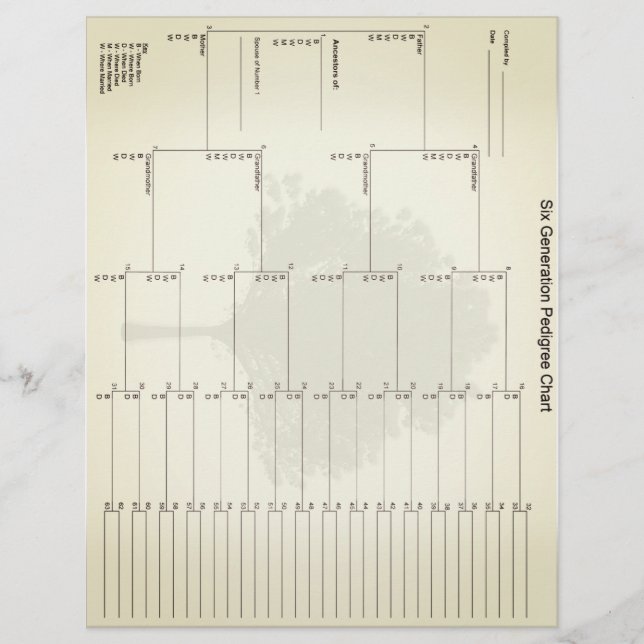 Sex Generation Pedigree Papper Vintage Titta (Framsida)