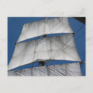 Sex Gun Sails-vykort Vykort