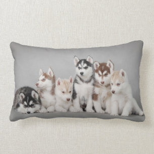 Sex huskies lumbarkudde