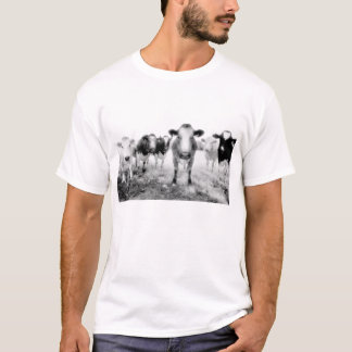 Sex ilskna kor t-shirt