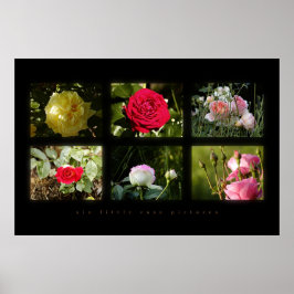 sex lilla ro bilder poster
