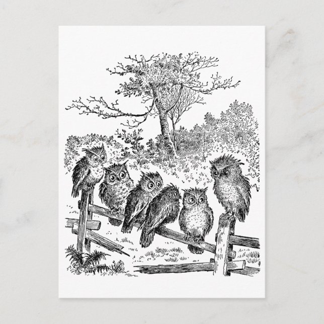 Sex lilla Uggla Sitta på ett nedbrutet stängsel Vykort (Framsida)