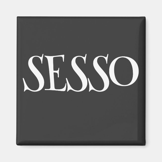 SEX MAGNET (Framsidan)