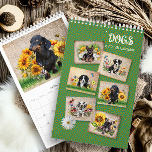 Sex Månaders Kalender Hundar i Blommor