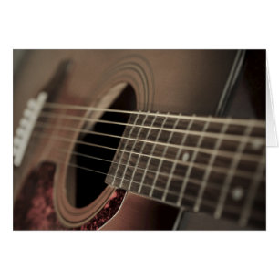 Sex String Acoustic Guitar OBS Kort