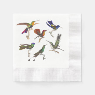 Sex vackra Hummingbird Pappersservett