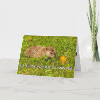 Sex veckor kortare hälsningskort för vintern