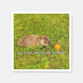 Sex veckor kortare vinterservetter pappersservett