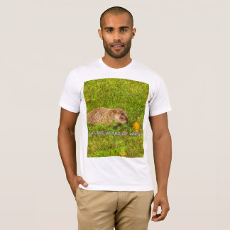 Sex veckor med vintert-shirt tee shirt