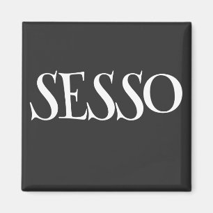SEXUALITET MAGNET