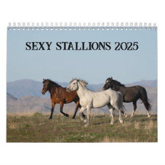 Sexy Stallions 2025-kalender Kalender