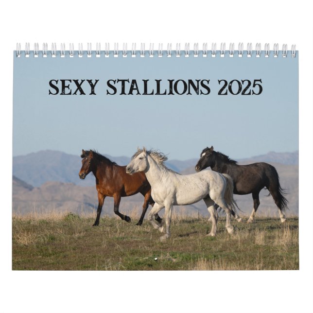 Sexy Stallions 2025-kalender Kalender (Omslag)