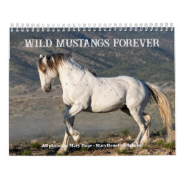Sexy Stallions 2025-kalender Kalender