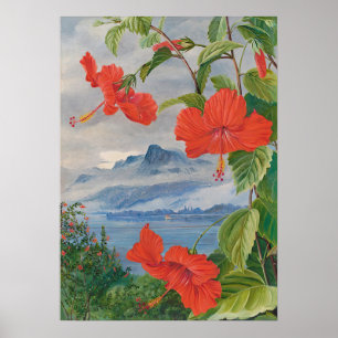 Seychellerna av Marianne North - Exotic Landscape Poster