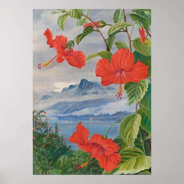 Seychellerna av Marianne North - Exotic Landscape Poster (Framsidan)