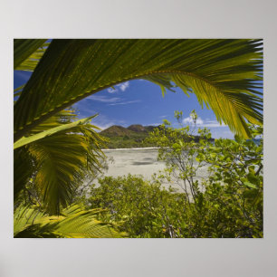 Seychellerna, Curieuse Island, Laraie Bay Poster