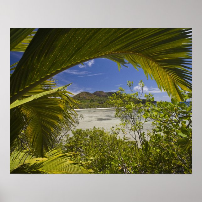 Seychellerna, Curieuse Island, Laraie Bay Poster (Framsidan)