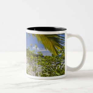 Seychellerna, Curieuse Island, Laraie Bay Två-Tonad Mugg