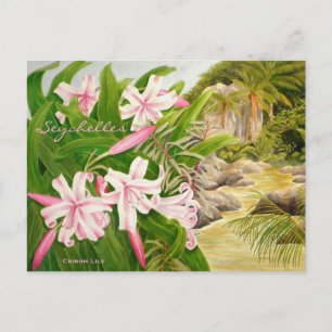 Seychellerna Lily Vykort
