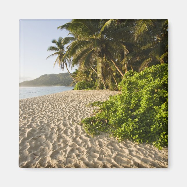 Seychellerna, Mahe Island, Anse Marie-Louise Magnet (Framsidan)