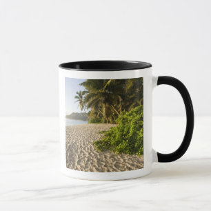Seychellerna, Mahe Island, Anse Marie-Louise Mugg