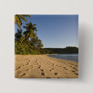 Seychellerna, Mahe Island, Anse Takamaka strand, 2 Knapp