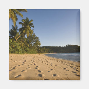 Seychellerna, Mahe Island, Anse Takamaka strand, 2 Magnet