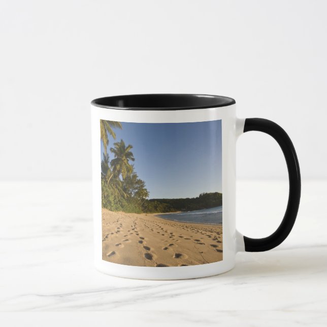 Seychellerna, Mahe Island, Anse Takamaka strand, 2 Mugg (Höger)