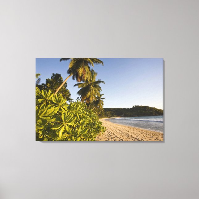 Seychellerna, Mahe Island, Anse Takamaka strand, Canvastryck (Framsida)