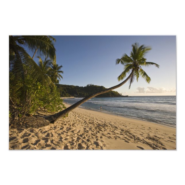 Seychellerna, Mahe Island, Anse Takamaka strand, Fototryck (Framsidan)