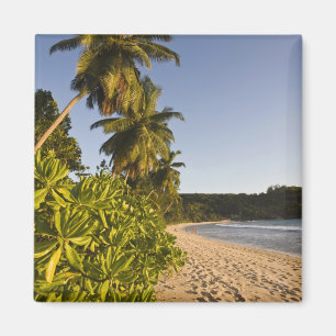 Seychellerna, Mahe Island, Anse Takamaka strand, Magnet