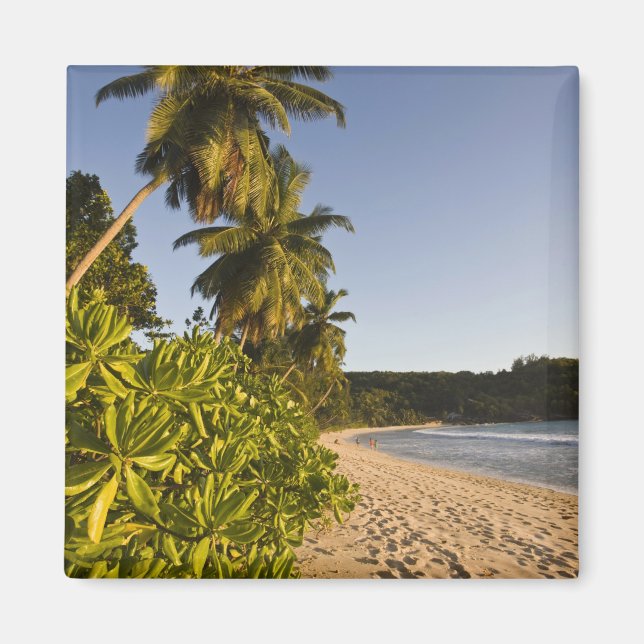 Seychellerna, Mahe Island, Anse Takamaka strand, Magnet (Framsidan)