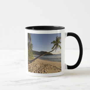 Seychellerna, Mahe Island, Anse Takamaka strand, Mugg