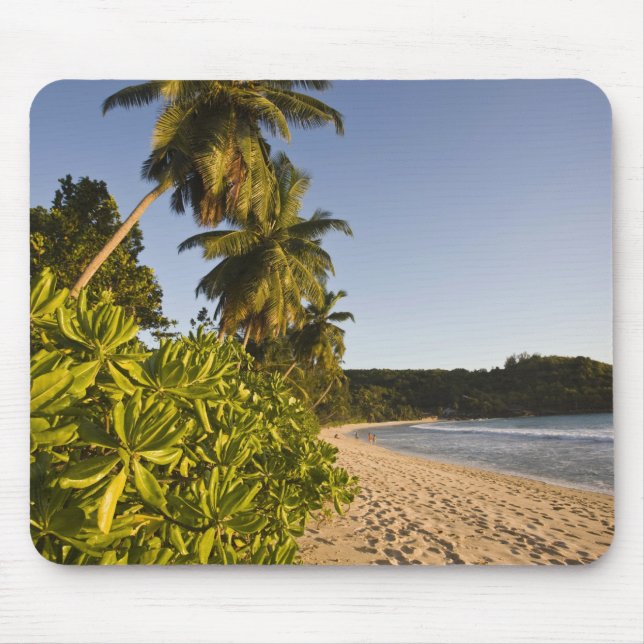Seychellerna, Mahe Island, Anse Takamaka strand, Musmatta (Framsidan)