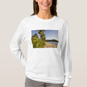 Seychellerna, Mahe Island, Anse Takamaka strand, Tee