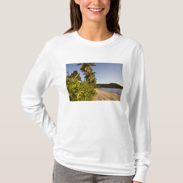 Seychellerna, Mahe Island, Anse Takamaka strand, Tee (Framsida)