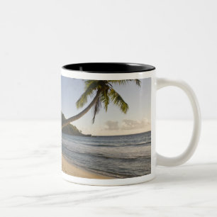Seychellerna, Mahe Island, Anse Takamaka strand, Två-Tonad Mugg