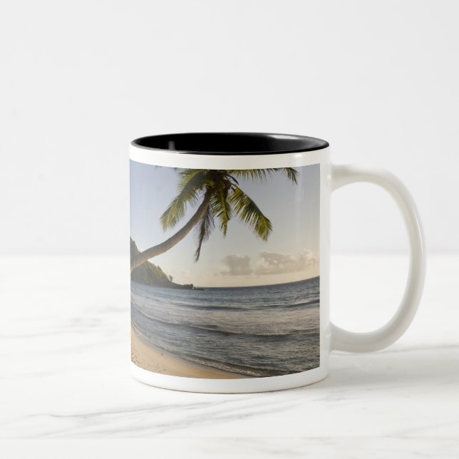 Seychellerna, Mahe Island, Anse Takamaka strand, Två-Tonad Mugg (Höger)