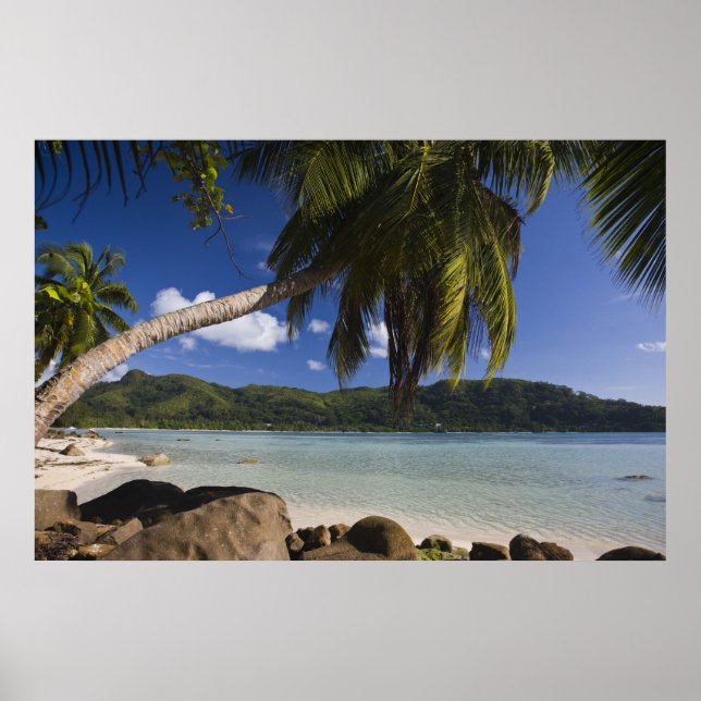 Seychellerna, Maheön, Anse a la Mouche Poster (Framsidan)