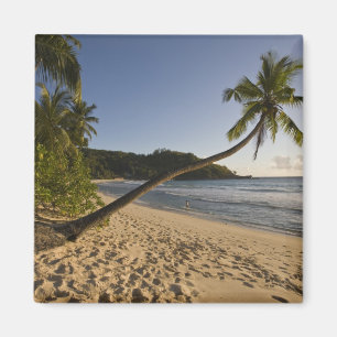 Seychellerna, Maheön, Anse Takamaka strand, Magnet