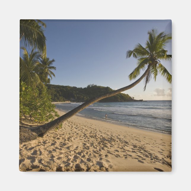 Seychellerna, Maheön, Anse Takamaka strand, Magnet (Framsidan)