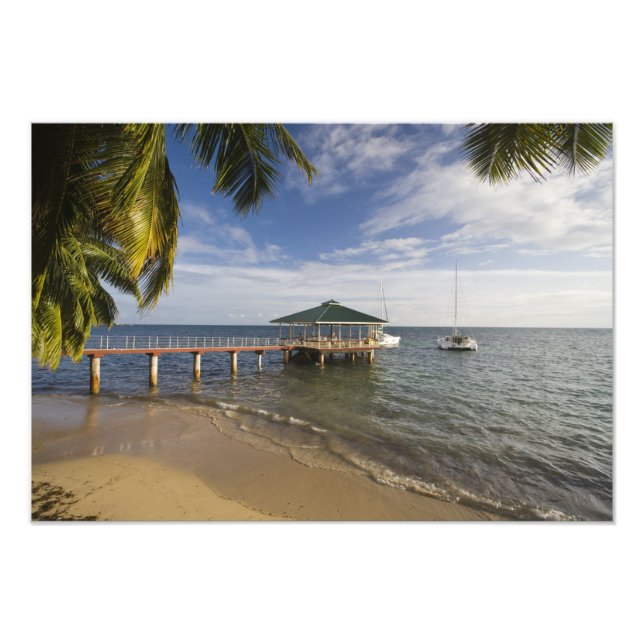 Seychellerna, Praslin Island, Anse Bois de Rose, Fototryck (Framsidan)