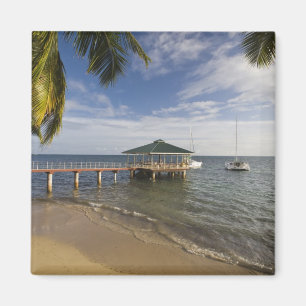 Seychellerna, Praslin Island, Anse Bois de Rose, Magnet