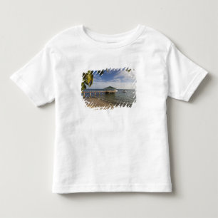 Seychellerna, Praslin Island, Anse Bois de Rose, Tee