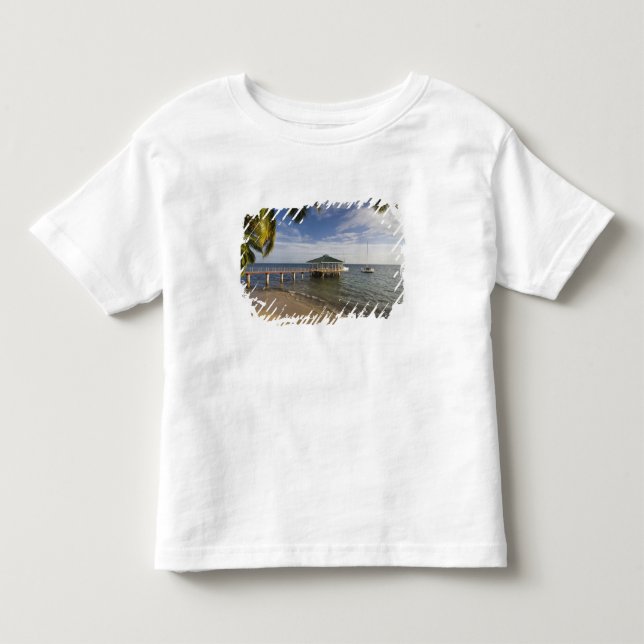 Seychellerna, Praslin Island, Anse Bois de Rose, Tee (Framsida)