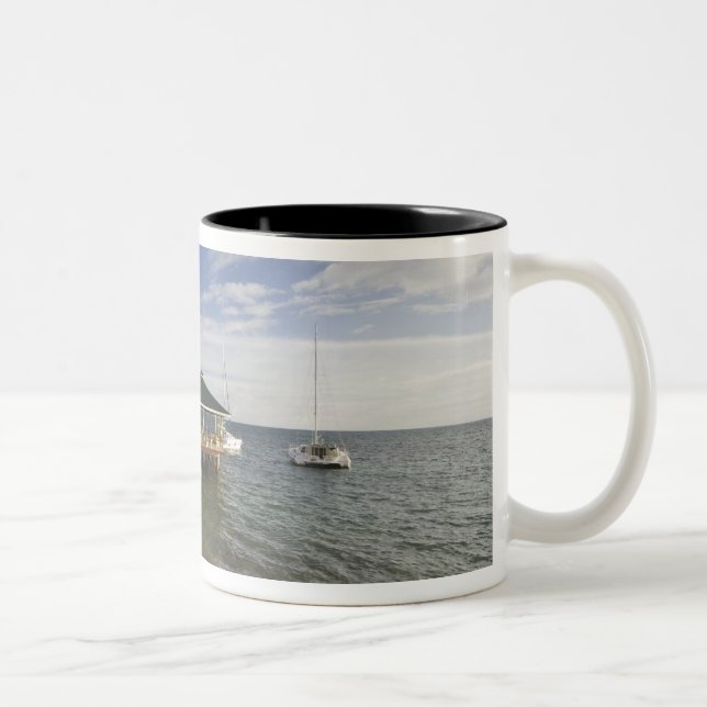 Seychellerna, Praslin Island, Anse Bois de Rose, Två-Tonad Mugg (Höger)