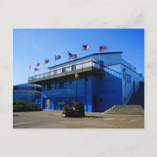 SF Aquarium of the Bay #4-2 Postcard Vykort